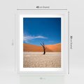 Plakat w ramie 40x50 - Słońce i Suche Drzewo - pustynia, suche - rama biała