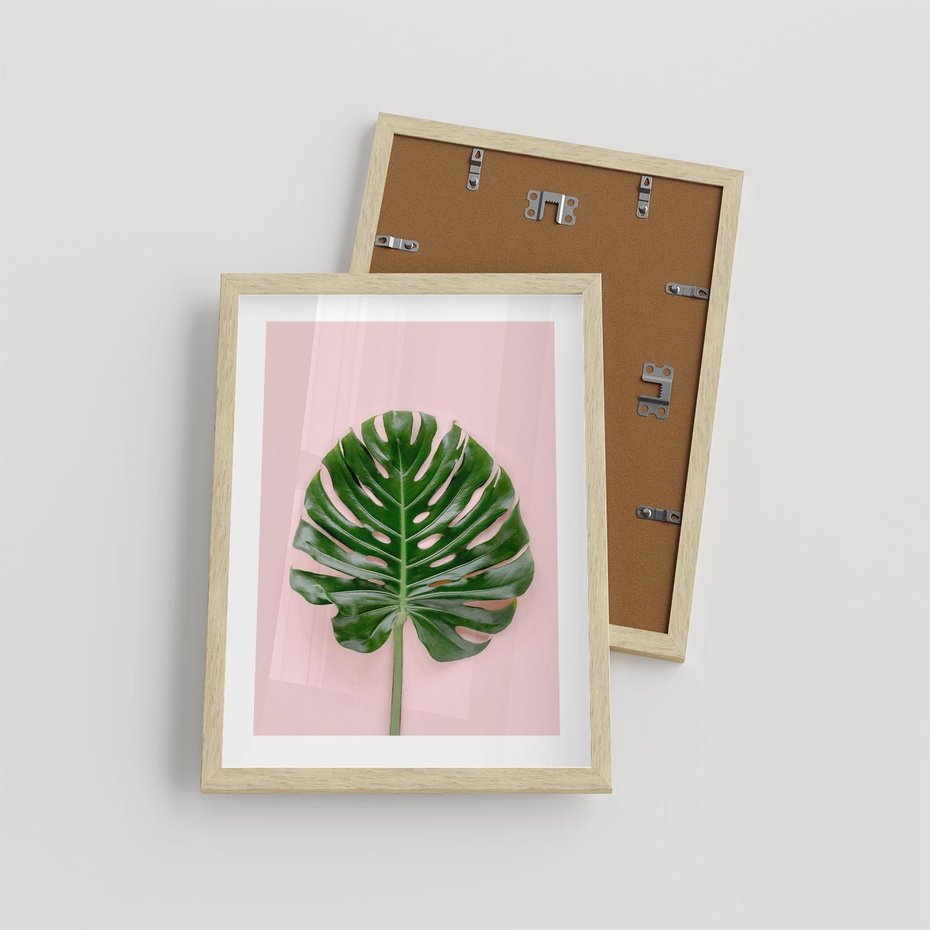 Plakat w ramie 30x40 - Monstera w Różowym Świetle - liść monstery, różowe tło - rama drewno