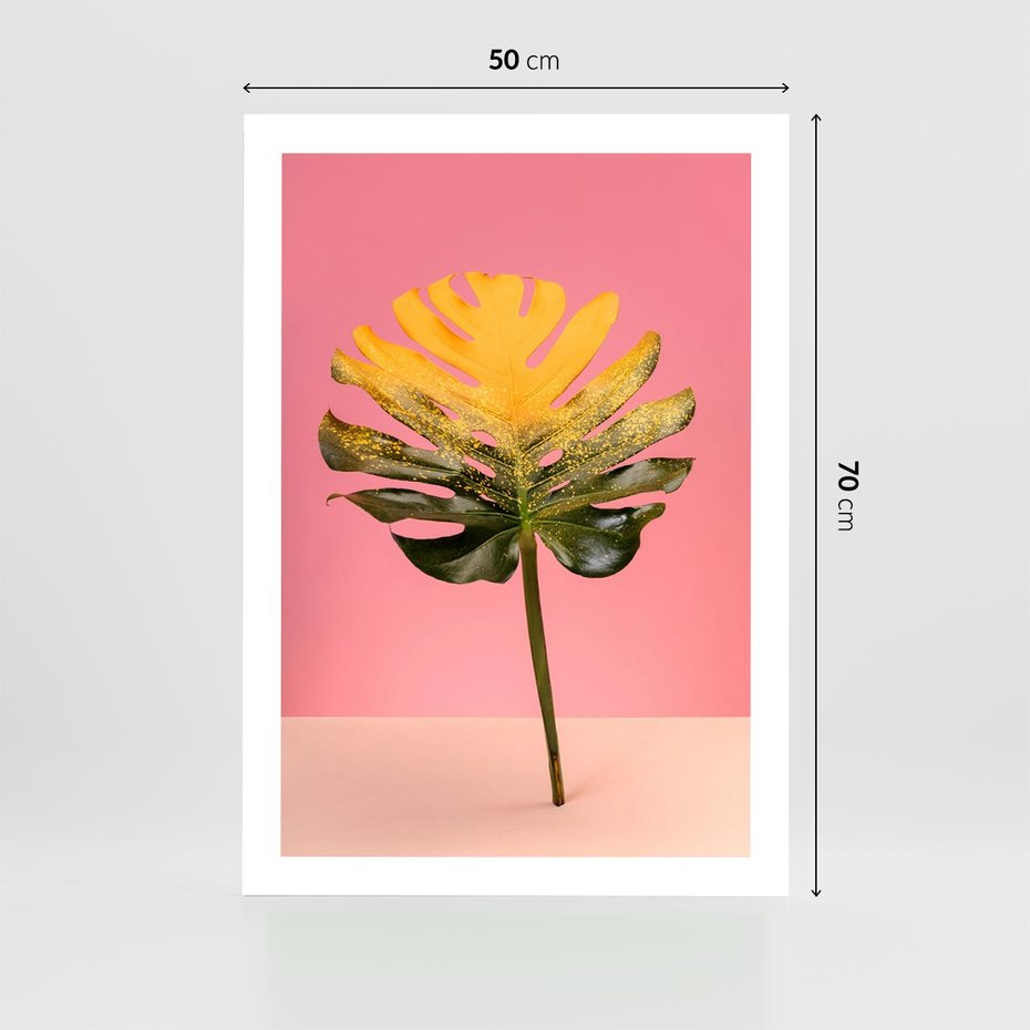 Plakat bez ramy 50x70 - Majestatyczna monstera - monstera, liść