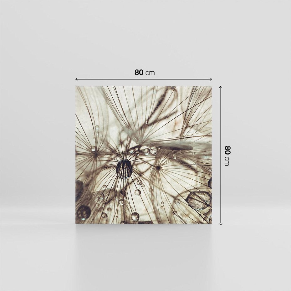 Obraz na płótnie 80x80 - Lekkie dmuchawce - dmuchawce, krople
