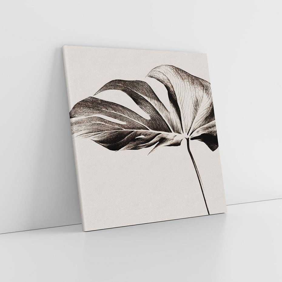 Obraz na płótnie 50x50 - Szapczący Liść - szkic, czarno biały