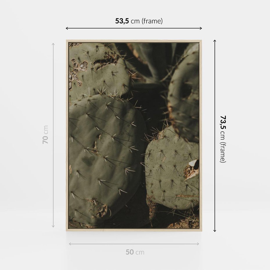 Obraz w ramie 50x70 - Urok Egzotyki - kaktusy, boho - rama drewno