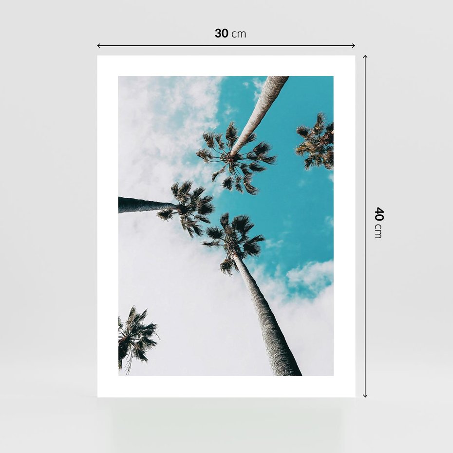 Plakat bez ramy 30x40 - Palmy w Gorącym Niebie - palmy, ujęcie z dołu