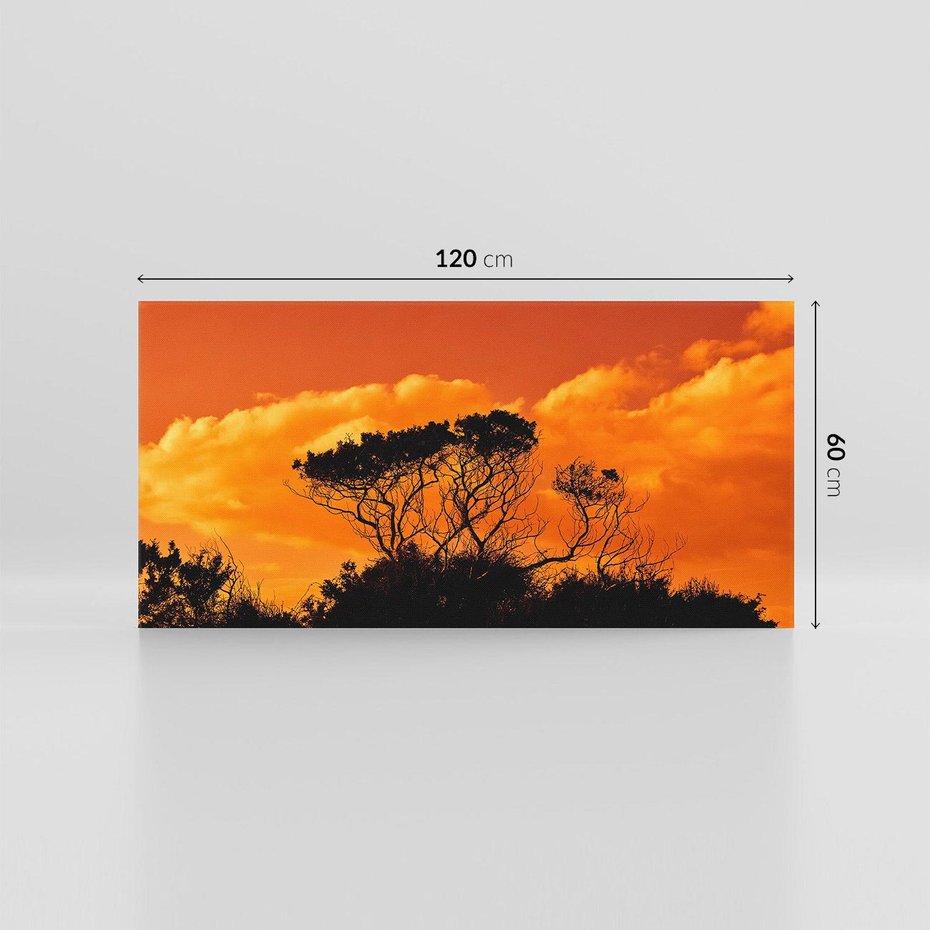 Obraz na płótnie 120x60 - Magiczne Drzewa na Tle Rozległej Sawanny - drzewa, sawanna