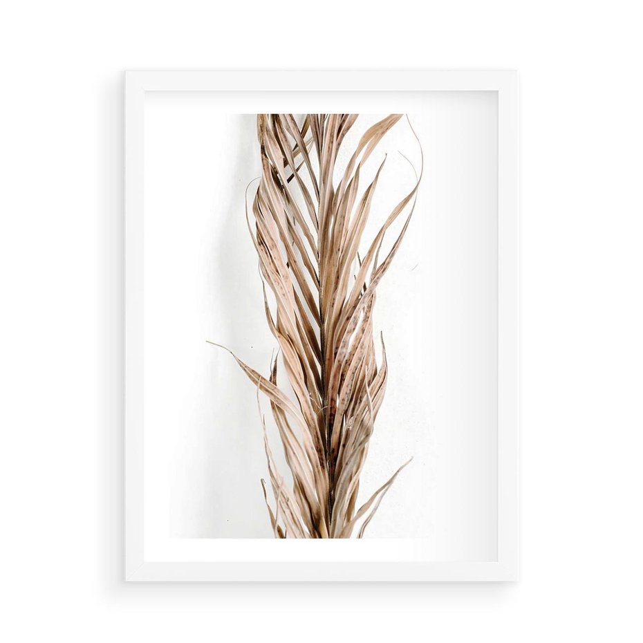 Plakat w ramie 50x70 - Minimalizm Palmowy: Sucha Uroda - sucha palma, minimalizm - rama biała