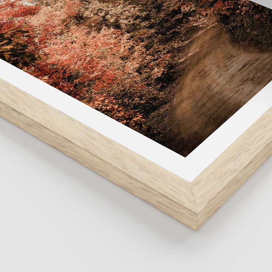 Plakat w ramie 30x40 - Obraz przedstawia jesienne drzewa i czerwone liście na ścieżce w lesie. Ta sceneria doskonale oddaje urok i kolorystykę jesieni w lesie. - las, jesień - rama drewno