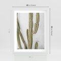 Plakat w ramie 40x50 - Kaktus w Stylu Boho - kaktus, roślina tropikalna - rama biała