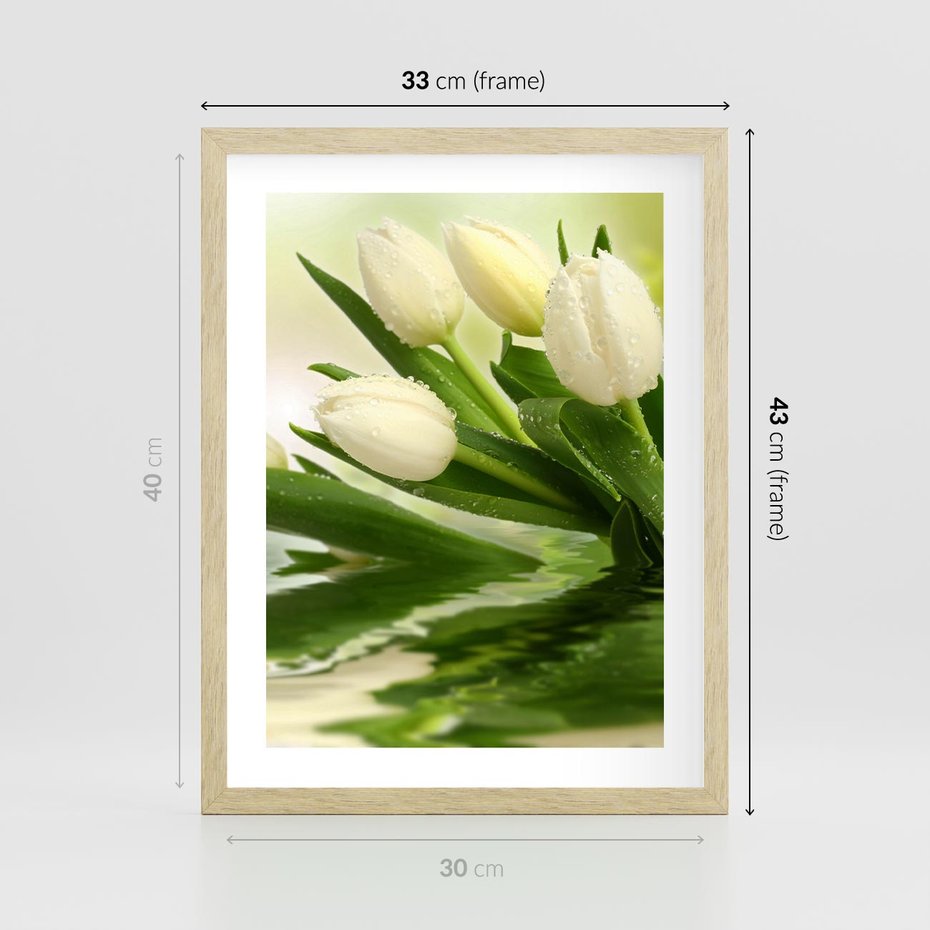 Plakat w ramie 30x40 - Białe Piękno - białe, tulipany - rama drewno