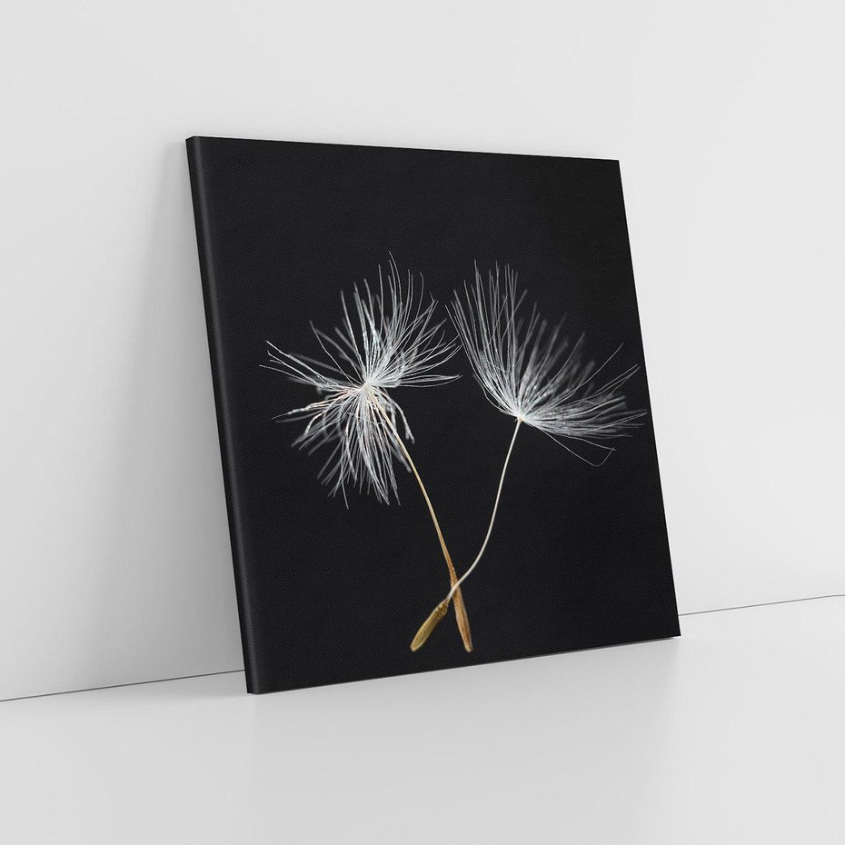 Obraz na płótnie 80x80 - Delikatność Wiatru - dmuchawce, makro