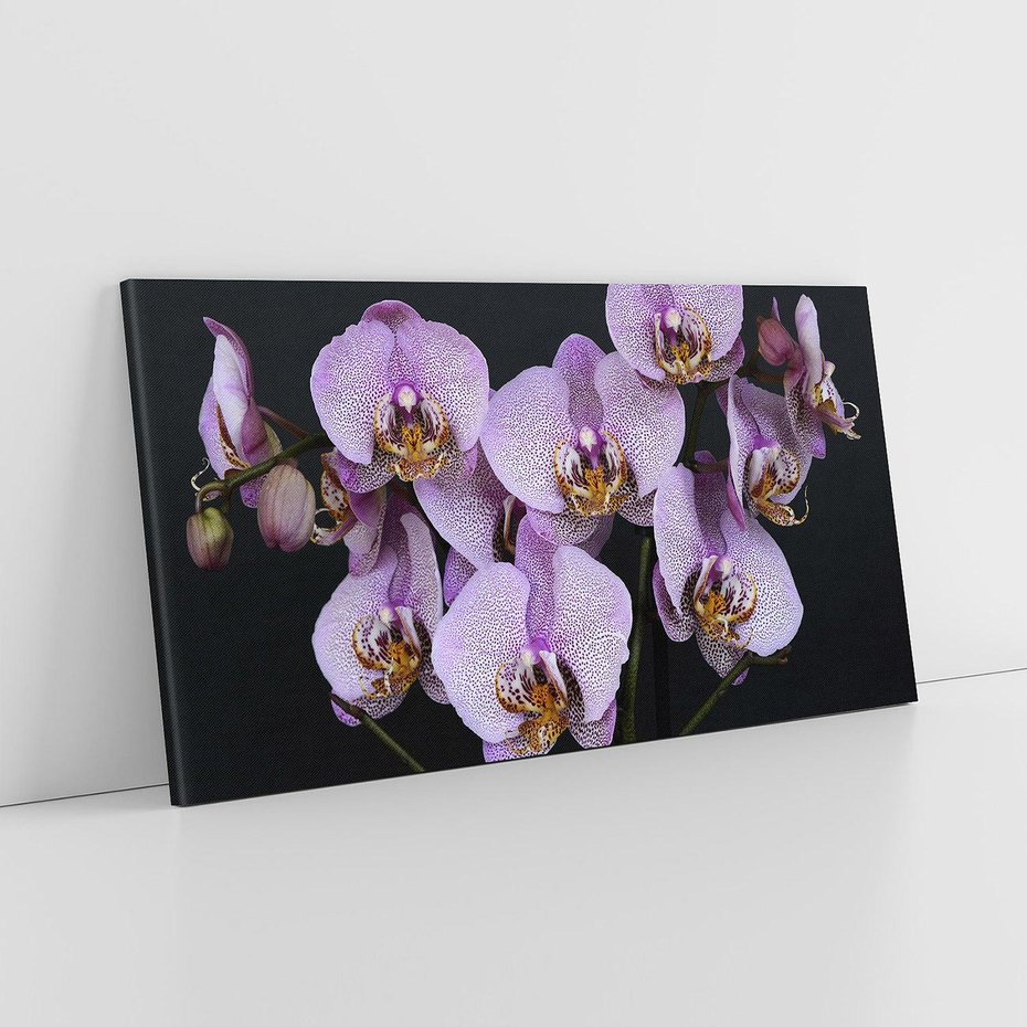 Obraz na płótnie 100x50 - Kwiatowy zachwyt pełen kolorów - kwiat, kwiaty