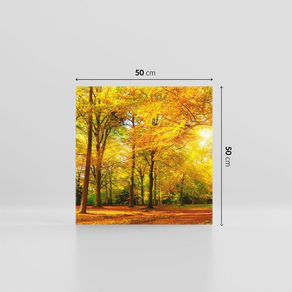 Obraz na płótnie 50x50 - Urok jesiennego lasu - las, drzewa
