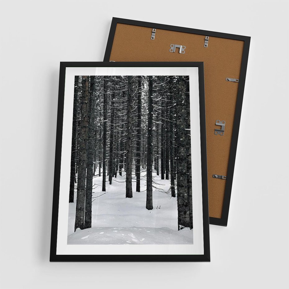 Plakat w ramie 50x70 - Zimowe Drzewa: Śnieg na Pniach - drzew w zimi, pnie drzew - rama czarna