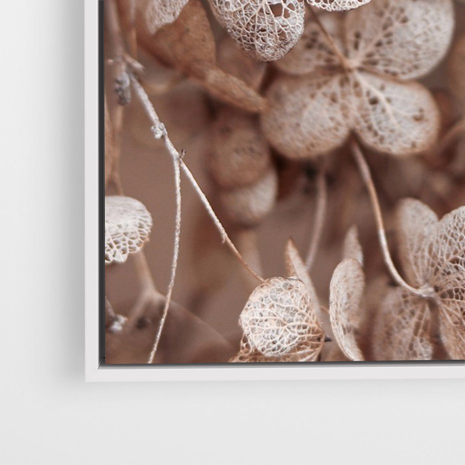 Obraz w ramie 50x70 - Przemijająca Piękność - fotografia, zbliżenie - rama biała