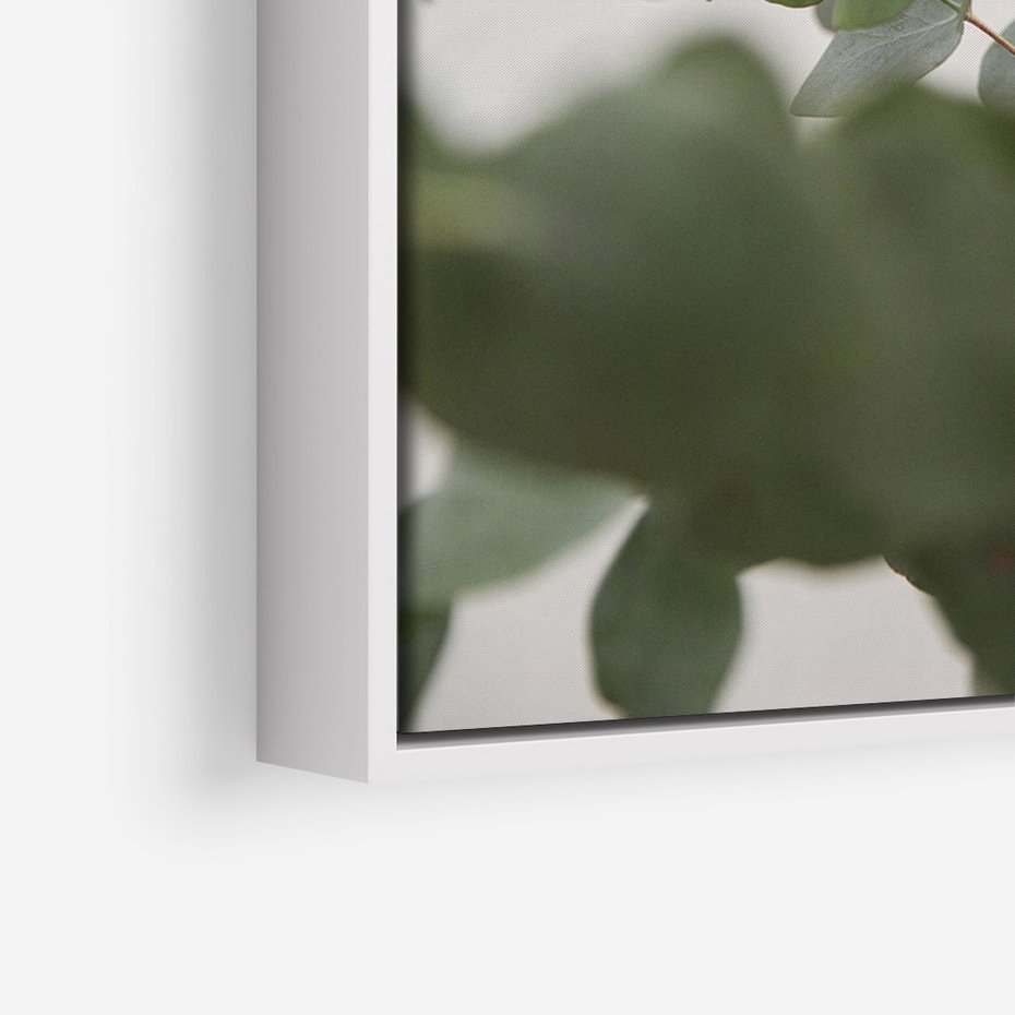 Obraz w ramie 70x100 - Liście eukaliptusa w naturze - eukaliptus, liście - rama biała