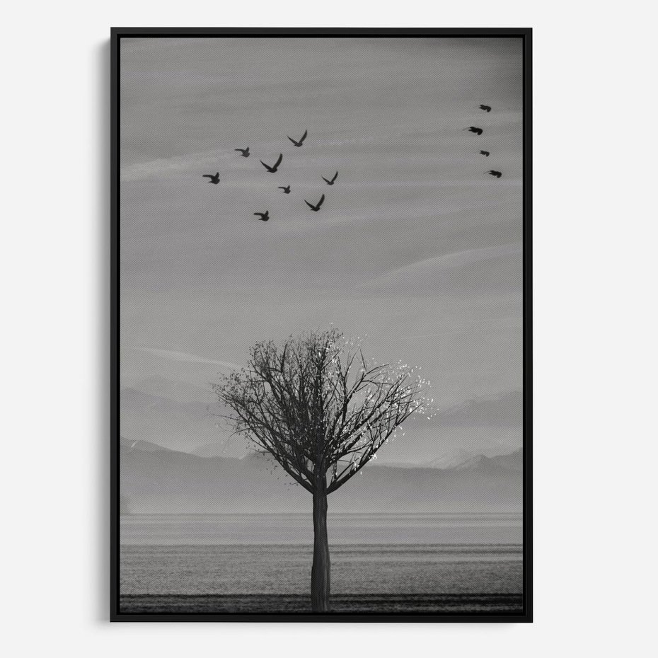 Obraz w ramie 70x100 - Samotne Drzewo - samotne drzewo w polu, czarno białe zdjęcie - rama czarna