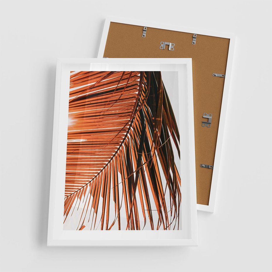 Plakat w ramie 50x70 - Słońce na Palmie - palma, promienie słońca - rama biała