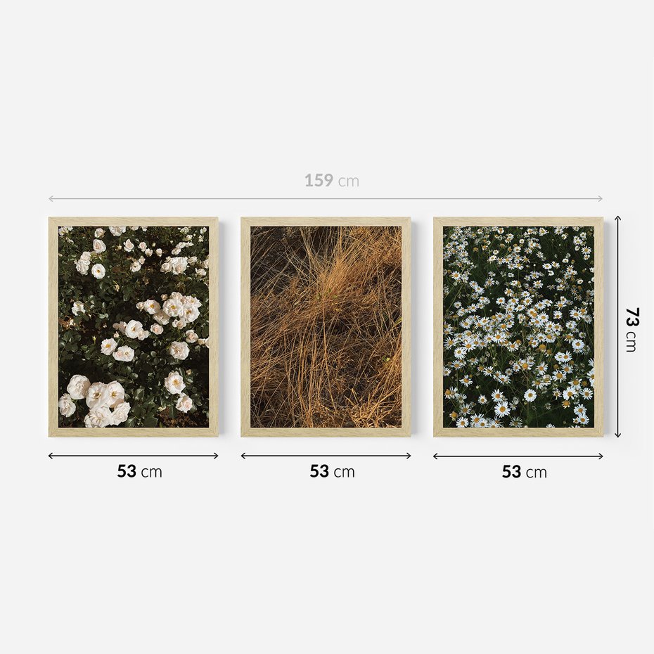 Zestaw obrazy w ramie 50x70 galeria - Boho, kwiaty, suche, trawy - rama drewno