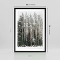 Plakat w ramie 50x70 - Sypiący Śnieg - las w zimie, drzewa pod śniegiem - rama czarna