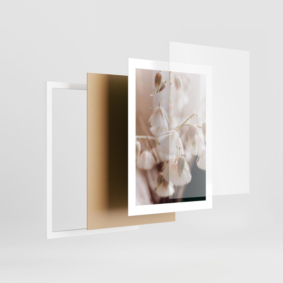 Plakat w ramie 30x40 - Suszona Delikatność - suszone kwiaty, rośliny - rama biała