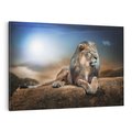 Obraz na płótnie 120x80 - Król sawanny - lew, kamień