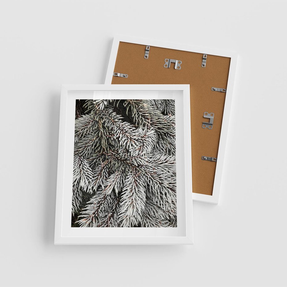Plakat w ramie 40x50 - Cisza Zimowej Natury - zima, iglaste gałązki - rama biała