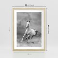 Plakat w ramie 30x40 - Elegancja w Czarno-Białym - koń, biało - rama drewno