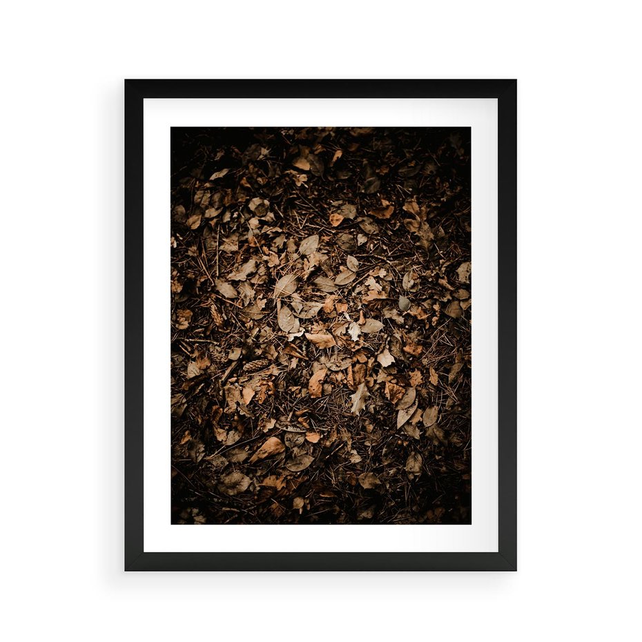 Plakat w ramie 40x50 - Brązowe Liście w Scenerii - suche liście jesień brąz - rama czarna