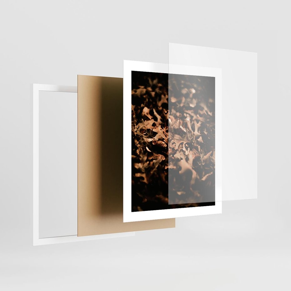 Plakat w ramie 40x50 - Jesienne Liście: Nostalgiczna Kolorystyka - suche liście, jesień - rama biała