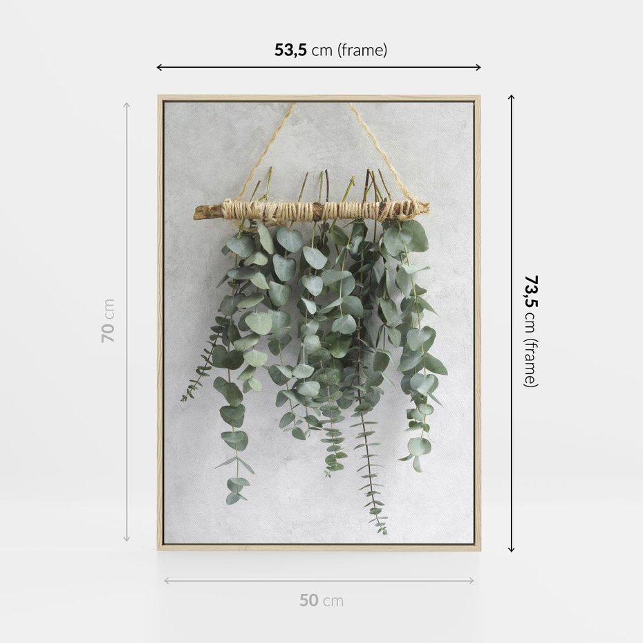 Obraz w ramie 50x70 - Uwodzicielska zieleń eukaliptusa - eukaliptus, zielone - rama drewno