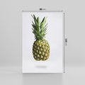 Obraz na płótnie 80x120 - Ananas Egzotyczne Odkrycie - ananas, owoc