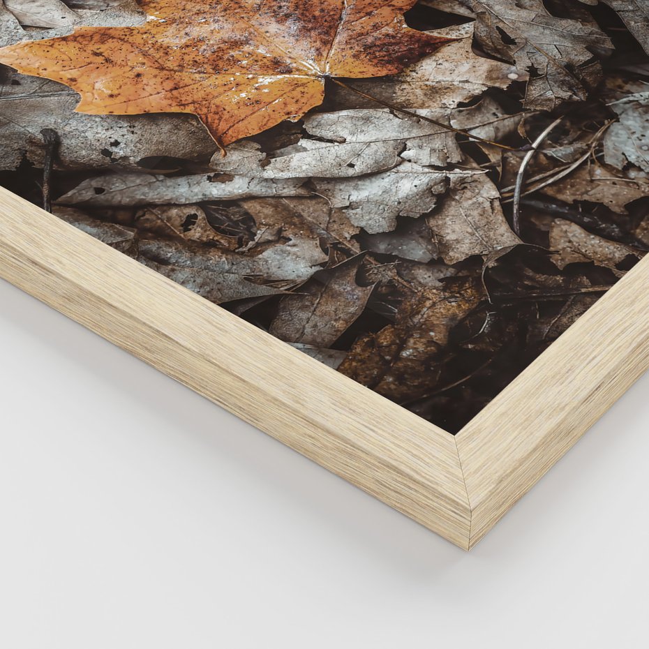 Zestaw obrazy w ramie 40x50 galeria - Jesień, rower, typografia, napis - rama drewno