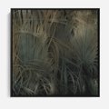 Obraz w ramie 50x50 - Światło w mroku duszy - liście traw, mroczny klimat - rama czarna
