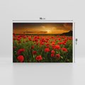 Obraz na płótnie 70x50 - Maki na łące: Przebudzenie wiosny - mak, maki