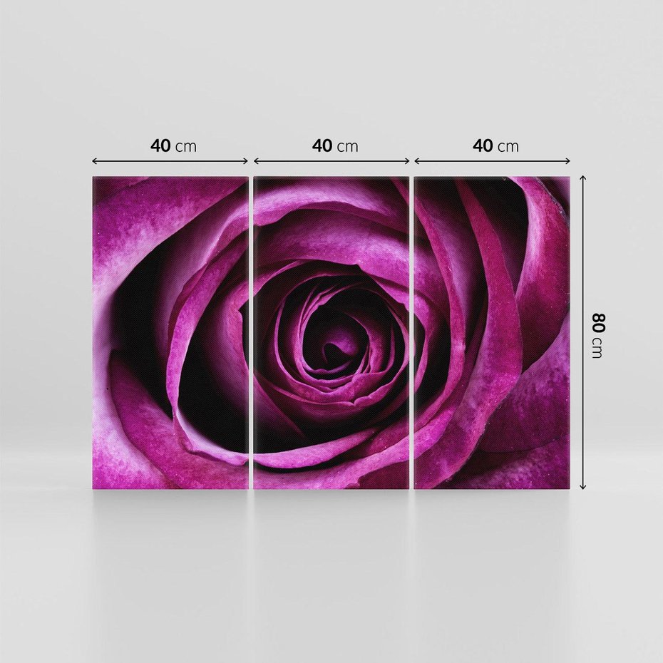 Obraz na płótnie 120x80 - piękno w delikatności - róża, kwiat