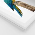Plakat w ramie 40x50 - Kolorowa papuga w locie - papuga, ptak - rama biała