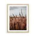 Plakat w ramie 50x70 - Wysokie Trawy w Górskim Krajobrazie - suche trawy, wysokie trawy - rama drewno