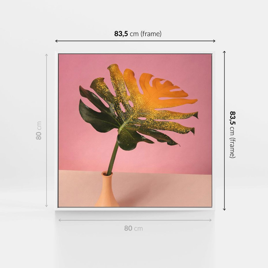 Obraz w ramie 80x80 - Egzotyczna monstera - monstera, liść - rama biała