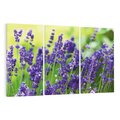 Obraz na płótnie 120x80 - Elegancka lawenda w pełnym rozkwicie - lawenda, kwiaty