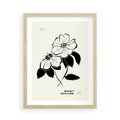 Plakat w ramie 50x70 - Poezja kwiecistej kreski - kwiaty, minimalistyczne - rama drewno