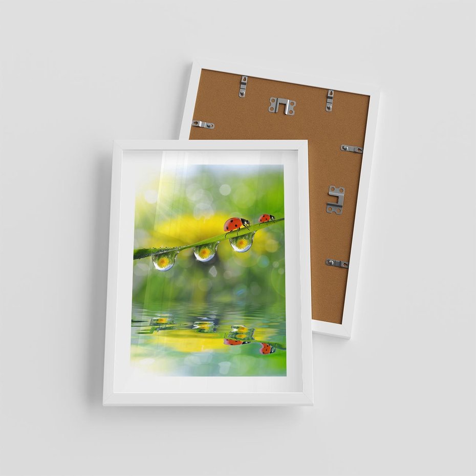 Plakat w ramie 30x40 - Deszczowa Biedronka - biedronka, deszcz - rama biała