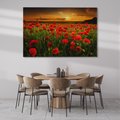 Obraz na płótnie 100x70 - Maki na łące: Przebudzenie wiosny - mak, maki