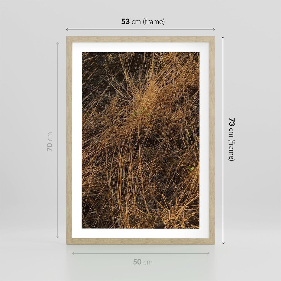 Plakat w ramie 50x70 - Szlachetna Suchość Traw - trawy, suche trawy - rama drewno