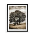 Plakat w ramie 50x70 - Spokojna Osamotniona Chwila - beżowe kolory, samotne drzewo na polu - rama czarna