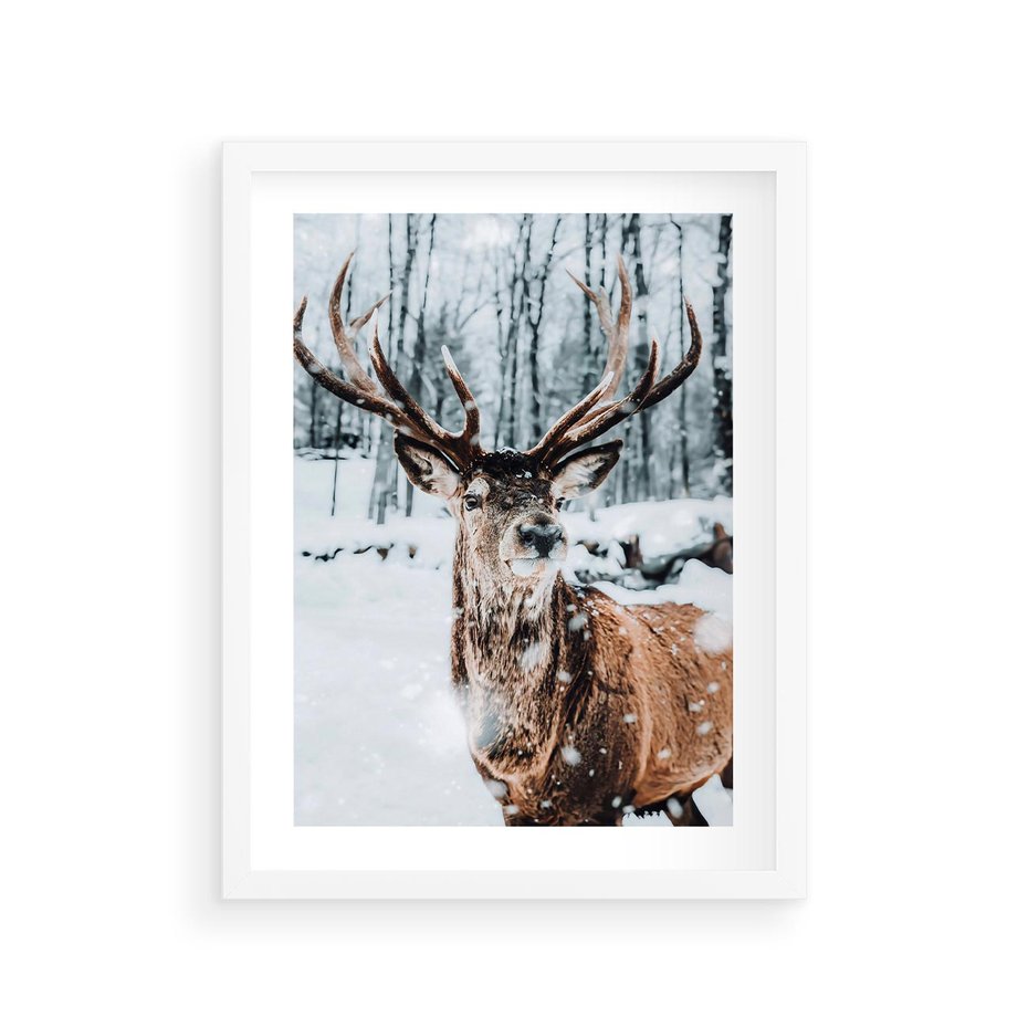 Plakat w ramie 30x40 - Jeleń na Zdjęciu pod Śniegiem - jeleń, zima - rama biała