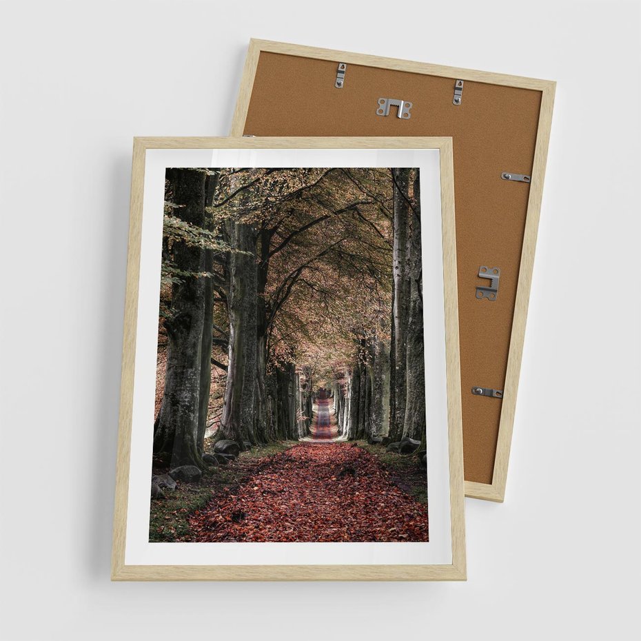 Plakat w ramie 50x70 - Spacer po Leśnej Drodze - ścieżka w lesie, jesień suche liście - rama drewno