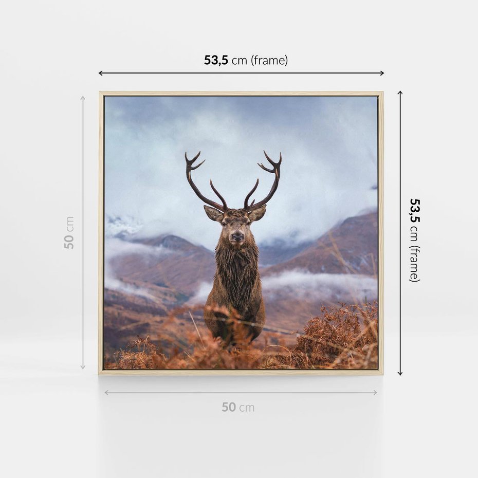 Obraz w ramie 50x50 - Jeleń w Uśpionym Krajobrazie - jeleń na tle gór, ośnieżone góry - rama drewno