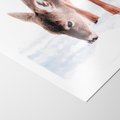 Plakat bez ramy 21x30 - Sarna w Zimowym Raju - sarna, na śniegu