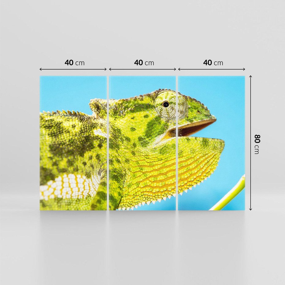 Obraz na płótnie 120x80 - Kameleon w swoim świecie - kameleon, jaszczurka