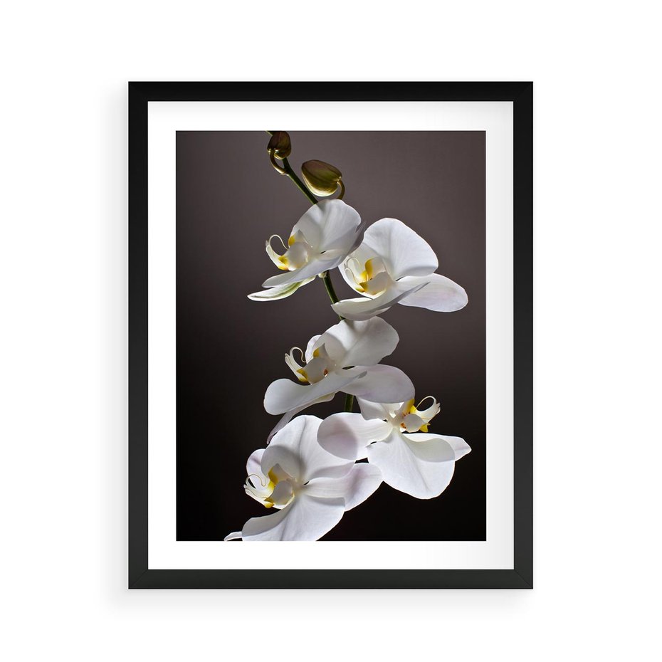 Plakat w ramie 40x50 - SPA: harmonia z kwiatami - spa, kwiaty - rama czarna