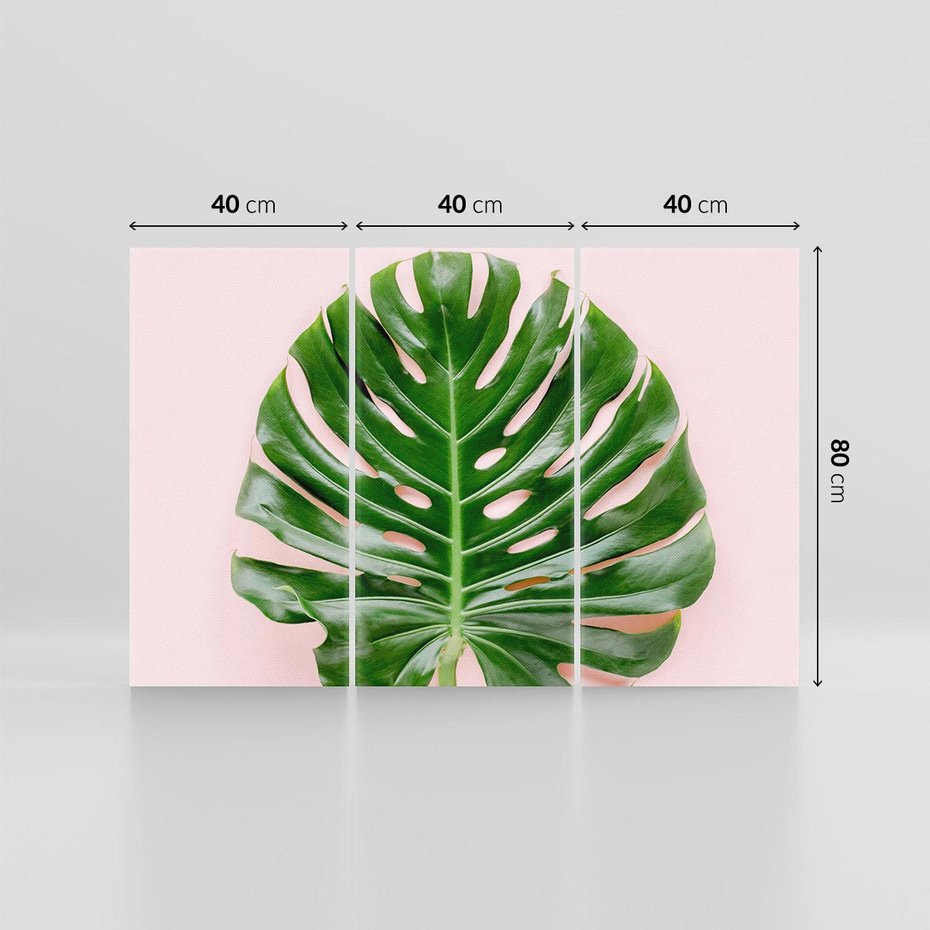 Obraz na płótnie 120x80 - Egzotyczna Roślinność - liście, monstera